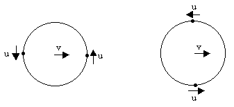 216fig1